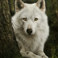 Cathy CHENEAU